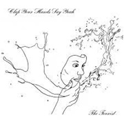 Clap Your Hands Say Yeah - The Tourist