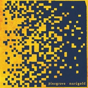 Marigold (Pinegrove, 2020)