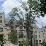 Kinsey Institute Gallery