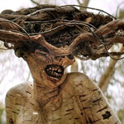 The Birch - Crypt TV