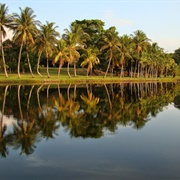 Montgomery Botanical Center
