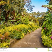 Beacon Hill Park, Victoria