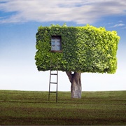 Treehouse