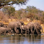 Boucle Du Baoulé National Park, Mali