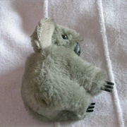 Koala Clip on Pencil Holder