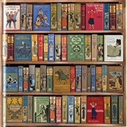 High Jinks! Bookshelves Jigsaw