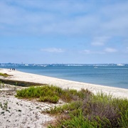 Silver Strand State Beach