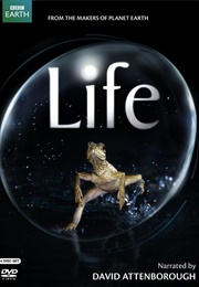 Life (2009)