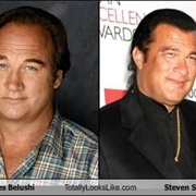 Steven Seagal and Jim Belushi