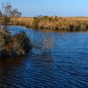 Hog Island National Wildlife Area, VA