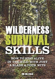 Wilderness Survival Skills (Bob Holtzman)