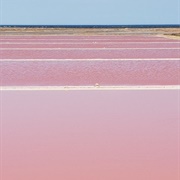 Le Salin De Gruissan, Narbonne, France