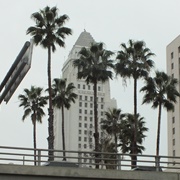 Los Angeles City Hall