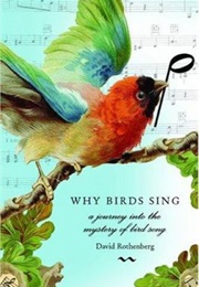 Why Birds Sing: A Journey Through the Mystery of Bird Song (David Rothenberg)
