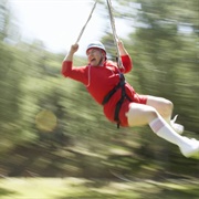 Adventureworks Zipline Forest