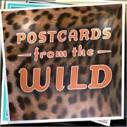 Postcards From the Wild
