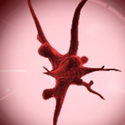 Sentient Micro-Organism