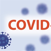 2020 Postponed Due to Pandemic