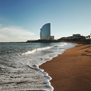 Beach Walks in Barcelona