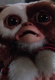 Gizmo From Gremlins (1984)