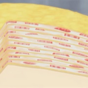 Strawberry Mille Crepes