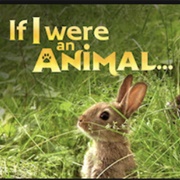 If I Were an Animal
