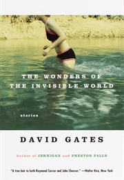The Wonders of the Invisible World (David Gates)