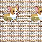 Corgi Orgy