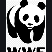 WWF Giant Panda