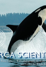 The Orca Scientist (Kim Perez Valice)
