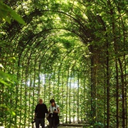 Alnwick Castle & Poison Garden, Northumberland, UK