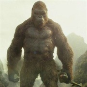 Kong - Godzilla vs. Kong