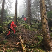 Albtal.Abenteuer.Track