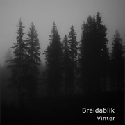 Breidablik - Vinter