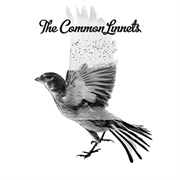 Calm After the Storm - The Common Linnets