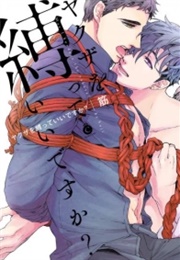 Yakuza Wo Shibatte Ii Desu Ka (Suji)