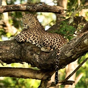 Mathikettan Shola National Park