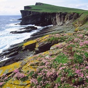 Isle of Noss