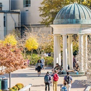 George Washington University