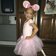 Angelina Ballerina Costume