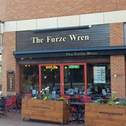 The Furze Wren - London