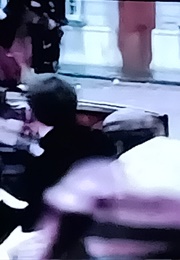 Vienna: The Years Remembered (Anson) (1968)