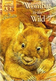 Wombat in the Wild (Ben M. Baglio)