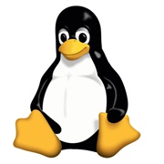 Linux Penguin