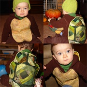 Box Turtle Costume