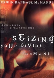 Seizing Your Divine Moment (Erwin Raphael McManus)