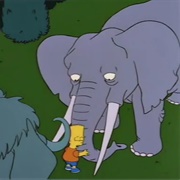 Bart Gets an Elephant (S5E17)