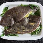 Baked Brill