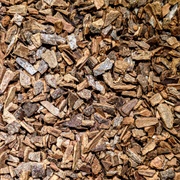 High Voltage Coffee + Tea Vietnamese Cinnamon Pieces