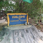 Pattaya Elephant Village